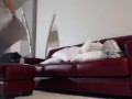 Cute asian