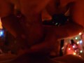 Xmas Blowjob