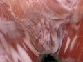 Shower Pussy Shave, Close Up.
