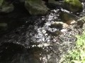 OUTDOOR BY SMALL RIVER CAM CAUGHT MILF MASTRUBATE ;) PANTY STUFFING