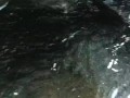 OUTDOOR BY SMALL RIVER CAM CAUGHT MILF MASTRUBATE ;) PANTY STUFFING