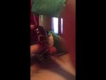 Mistress makes me cum in a cock cage