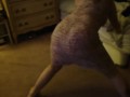Twerking 02