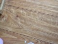 Jerking Slow Motion Cumshot