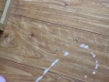 Jerking Slow Motion Cumshot