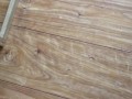 Jerking Slow Motion Cumshot