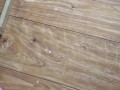 Jerking Slow Motion Cumshot