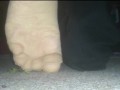 My Horny Nylon Feet at the Ground