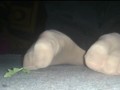 My Horny Nylon Feet at the Ground
