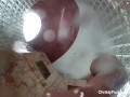 Christy showers off her perfect body
