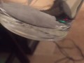 spunkdude72 cumming slowly in a glass of water