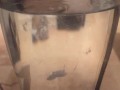 spunkdude72 cumming slowly in a glass of water