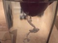 spunkdude72 cumming slowly in a glass of water