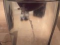 spunkdude72 cumming slowly in a glass of water