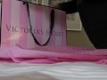 Anna Bell Peaks' VLOG #41 Victoria Secrets Panty Show!