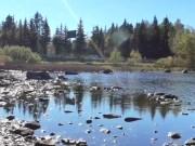 SQUIRTING MILF OUTDOOR CAUGHT GIRL MASTURBATE AMATEUR ORGASM SQUIRT