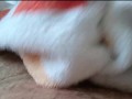 Nylonjunge wird Rasiert ** Nachbarschaftshilfe **