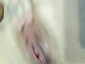 Trinity Rayne Fingering in Blue/Black Lace