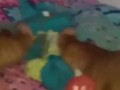 Foot Play with my Plushie
