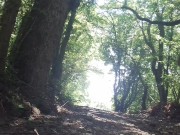 Real sex in the forest with Sasha Bikeyeva