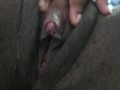 pleasing my pussy and making it squirt