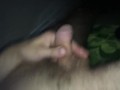 honění
