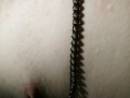 Mistress torturing my balls and nipples