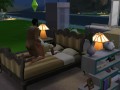 sims4
