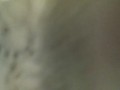 ti umilio! meriti solo rutti e puzze in faccia!