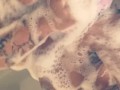 SOAPY SHOWER