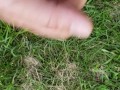 Public cum