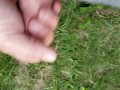 Public cum