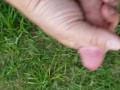 Public cum