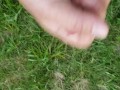 Public cum