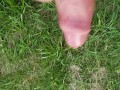 Public cum