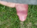 Public cum