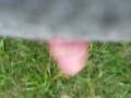 Public cum
