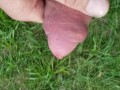 Public cum