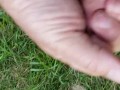Public cum