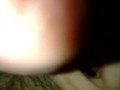 Horny Young Cock & Balls Stroke