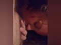 Wife sucking cock