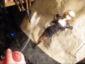 B.B.B. preview: ANA NOVA "Sexy Black Glasses" (cumshot only)