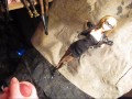 B.B.B. preview: ANA NOVA "Sexy Black Glasses" (cumshot only)