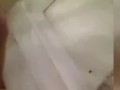 Polla argentina