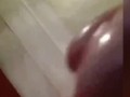 Polla argentina