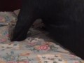 Playtime With Daddy Pt.1