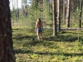 Passerby Guy Caught Beautiful Girl Masturbating in the Woods and Fucked Her Doggystyle on Outdoors