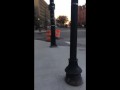 vlog #69 pissing porn