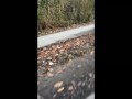 vlog #69 pissing porn