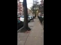 vlog #69 pissing porn